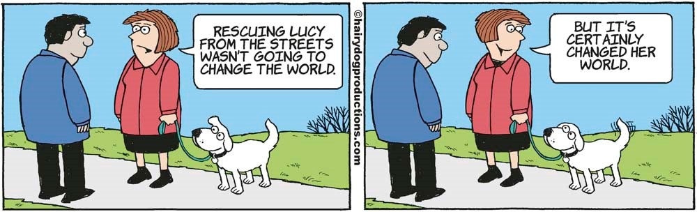 Changing Their World