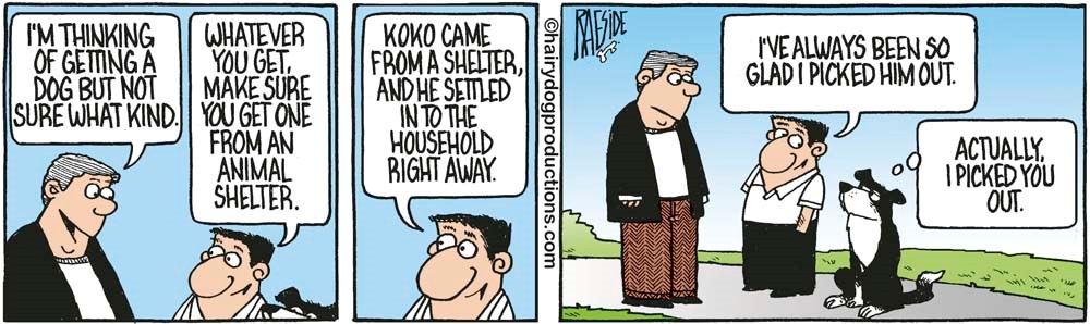 Actually, I Picked You