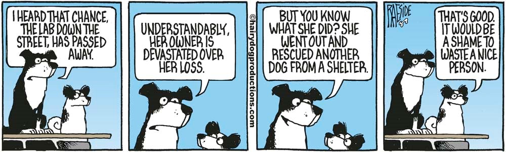 It's a Shame to Waste a Nice Person