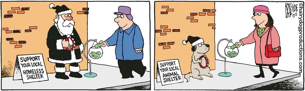 Support Your Local Shelter