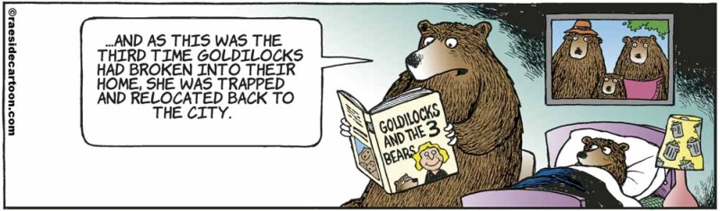 beargoldilocks