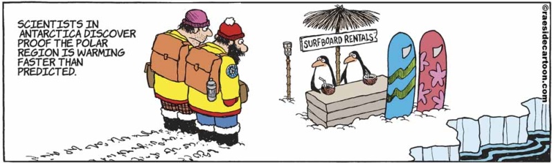 penguinrentals