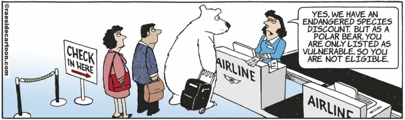 polarbearairline