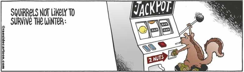 squirrelslots_573041793