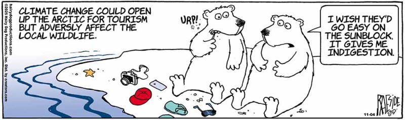 polarbears_254674675