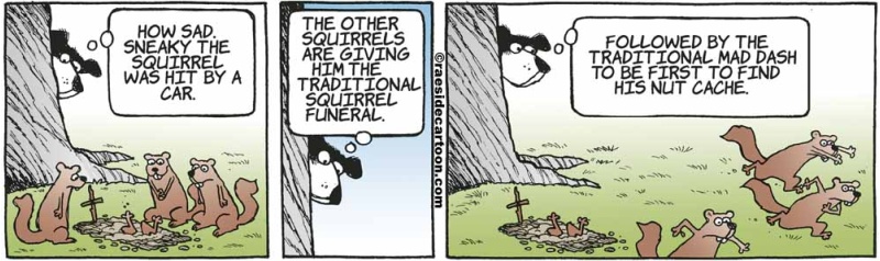 squirrelfuneral