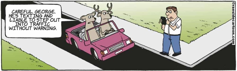 deertraffic