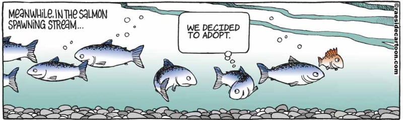 fishadoption