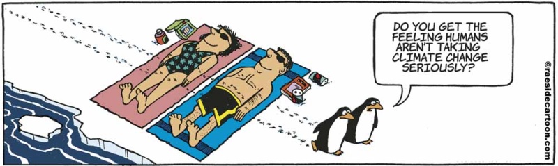 penguinsunbathing