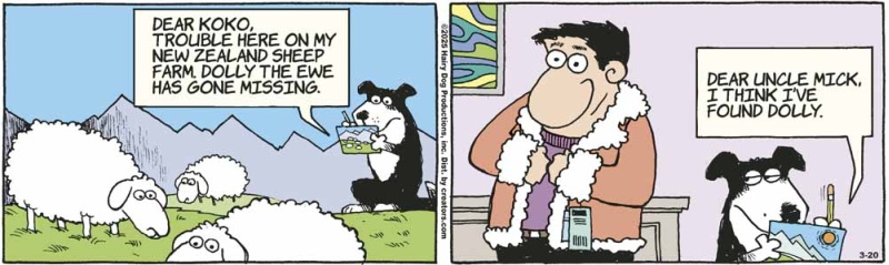 sheepjacket_1529719054