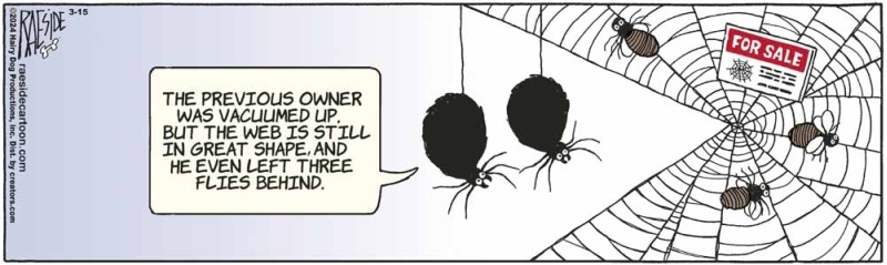 spiderrealestate