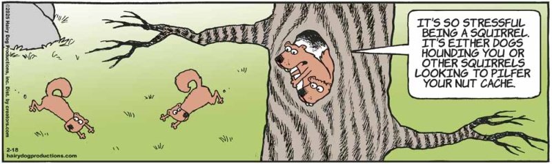 squirrels_1713792279