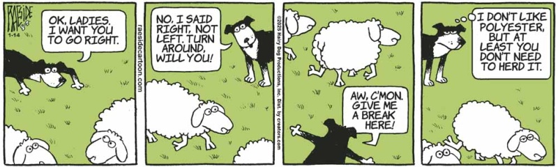 polyester_sheep