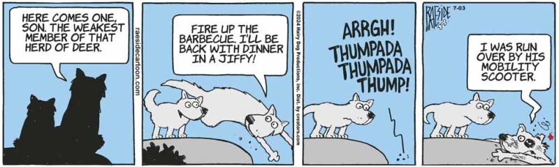 wolfscooter_518591981