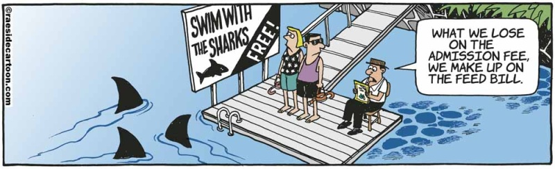 swimwithsharks